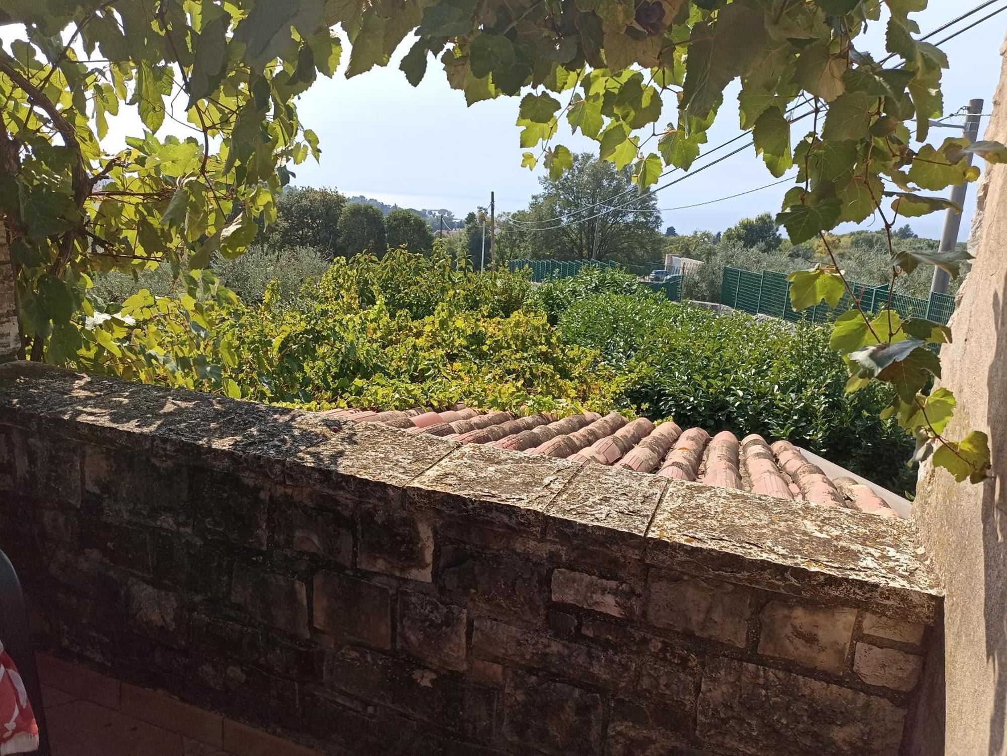 Hedra Apartment Zambratija  Exterior foto